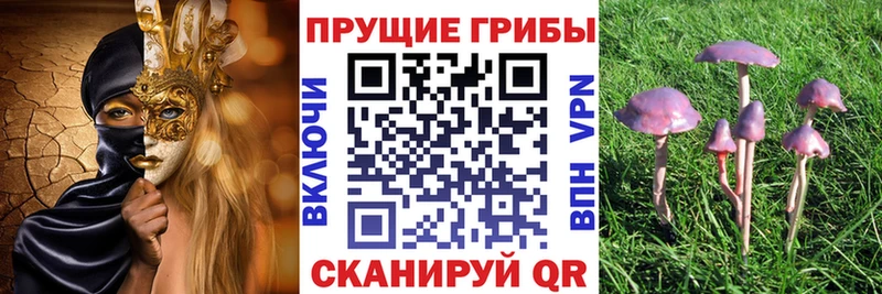 Псилоцибиновые грибы Cubensis  купить наркотики сайты  Демидов 