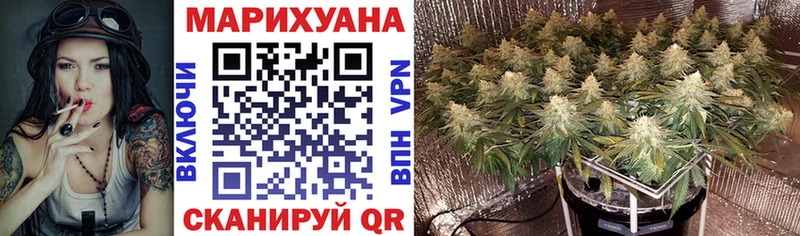 Канабис SATIVA & INDICA  как найти закладки  Демидов 